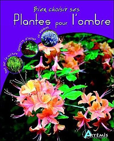 Bien choisir ses plantes pour l'ombre