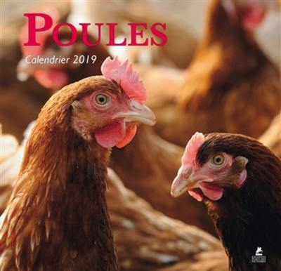 Poules : calendrier 2019