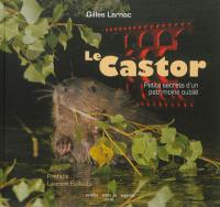 Le castor : petits secrets d'un patrimoine oublié