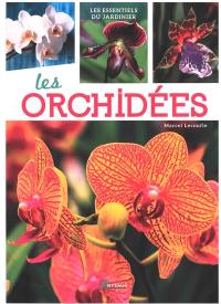 Les orchidées