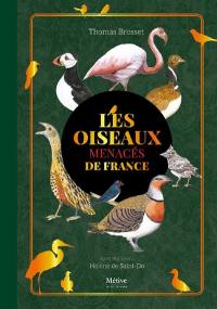 Les oiseaux menacés de France