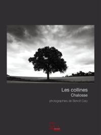 Les collines : Chalosse