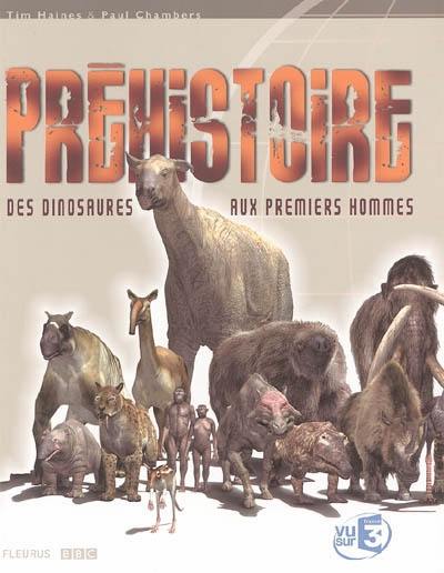 Préhistoire : des dinosaures aux premiers hommes