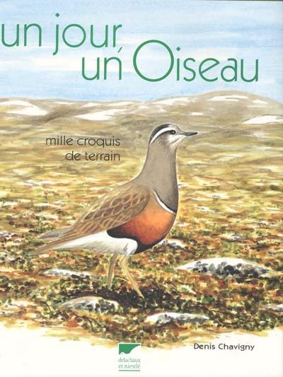 Un jour, un oiseau : mille croquis de terrain