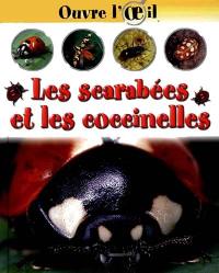 Les scarabées et les coccinelles