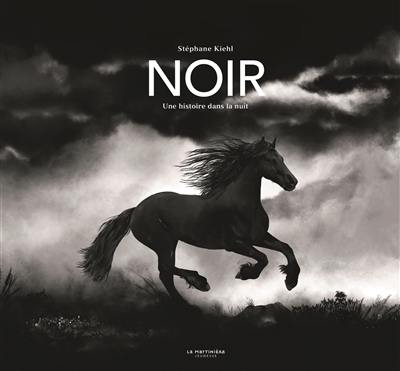 Noir : une histoire dans la nuit