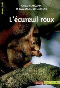 L'écureuil roux