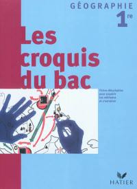 Les croquis du bac, géographie 1re : fiches détachables pour acquérir les méthodes de géographie, s'entraîner à réaliser des principaux croquis du programme de 1re