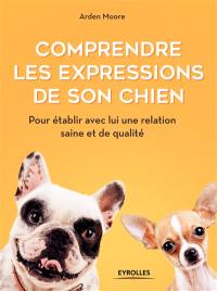 Comprendre les expressions de son chien : pour établir avec lui une relation saine et de qualité