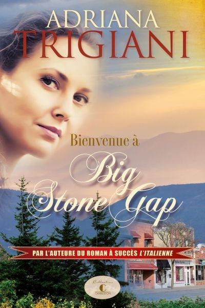 Bienvenue à Big Stone Gap