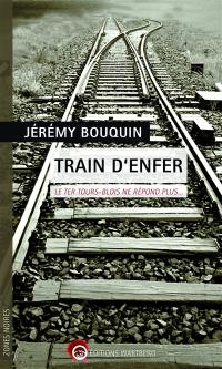 Train d'enfer : le TER Tours-Blois ne répond plus...