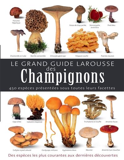 Le grand guide Larousse des champignons : 450 espèces présentées sous toutes leurs facettes : des espèces les plus courantes aux dernières découvertes