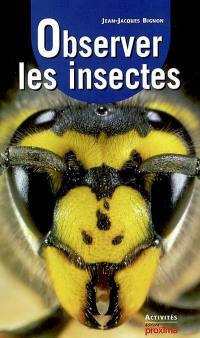 Observer les insectes