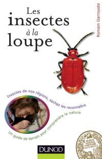 Les insectes à la loupe