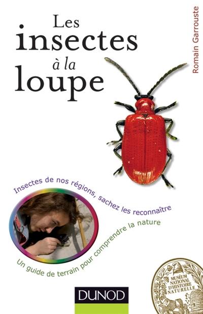 Les insectes à la loupe