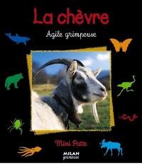 La chèvre : agile grimpeuse