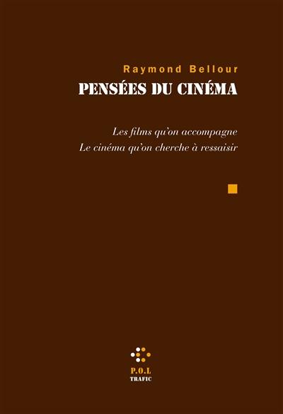 Pensées du cinéma : les films qu'on accompagne, le cinéma qu'on cherche à ressaisir