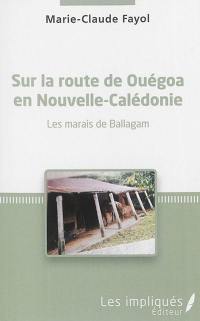 Sur la route de Ouégoa en Nouvelle-Calédonie : les marais de Ballagam