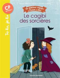 Les fabuleux voyages de Ninon et Lila. Le cagibi des sorcières