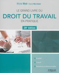 Le grand livre du droit du travail en pratique : emploi, travail, relations professionnelles