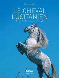 Le cheval lusitanien : élevage et traditions équestres au Portugal