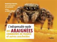 L'indispensable guide des araignées communes de France et autres arachnides