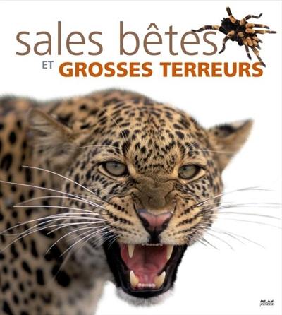 Sales bêtes et grosses terreurs