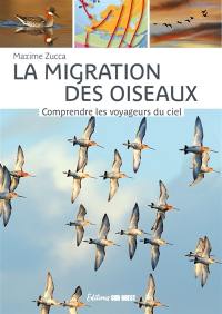 La migration des oiseaux : comprendre les voyageurs du ciel