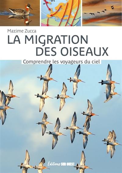 La migration des oiseaux : comprendre les voyageurs du ciel