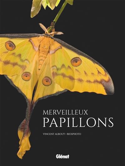 Merveilleux papillons