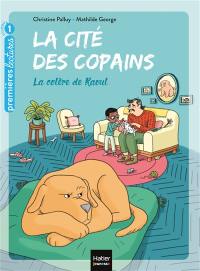 La cité des copains. Vol. 5. La colère de Raoul