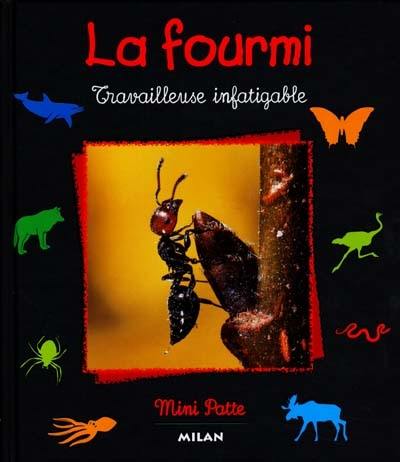 La fourmi : travailleuse infatigable